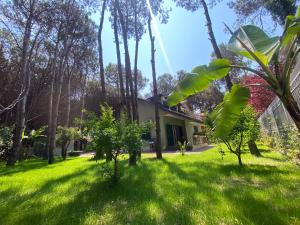 Forest Cottage - middle of forest & near the beach