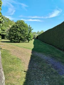Maisons de vacances Le Presbytere - La Treverie : photos des chambres