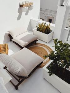 Amaterra Apulian Home