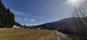 Aux Abords du Ruisseau