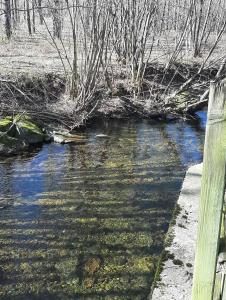 Aux Abords du Ruisseau