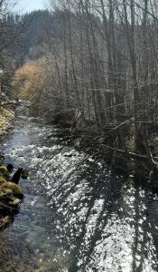 Aux Abords du Ruisseau