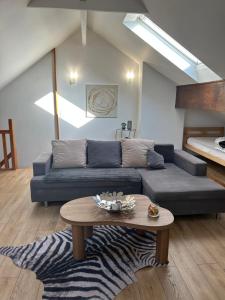 Appartements Spacieux duplex a Folschviller : photos des chambres