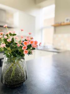 Lisas Beach Pad, A Charming Coastal Retreat with Parking