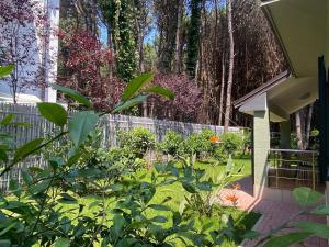 Forest Cottage - middle of forest & near the beach