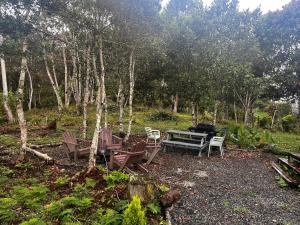 Tiny House Minimalista en la Naturaleza, El Retiro
