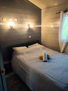 Chalets Chalet cosy 300 metres du lac : photos des chambres