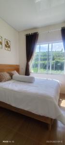 Pucuk Dieng Syariah Inn