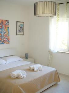 Annas HOUSE Solarium Terrace