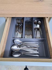 Ruben apartment in Golem