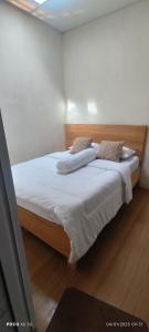 Pucuk Dieng Syariah Inn