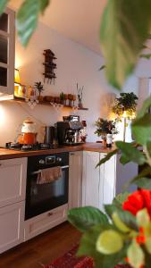 Canal House with a Unique View