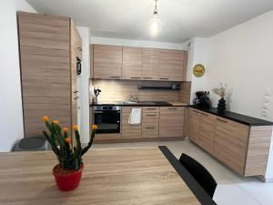 Briançon au pied des pistes