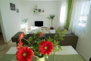 Apartmani Ružica