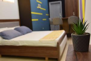 The Rock Studio Apartment