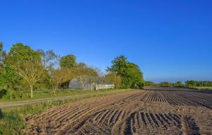 Nice Home In Sjöbo With Wifi