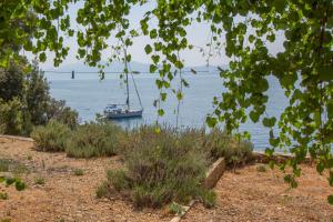 Apartment Rapak 12779e