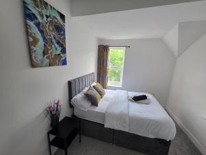 Bright, Modern & Comfortable 2-Bedroom Apartment