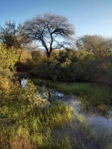 Sencilla, frente al río