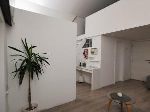 - WHITE - white&black Apartmans-Free parking-
