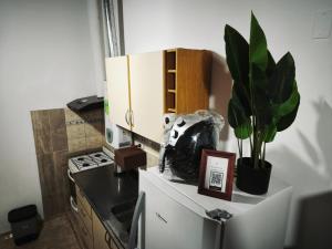 Tu hogar en San Luis,Cuatros reinas