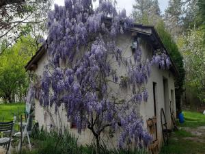Maisons de vacances Lovely cottage in Peyzac-le-Moustier with Terrace : photos des chambres