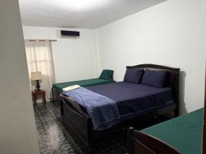 Hostel Phoenicia