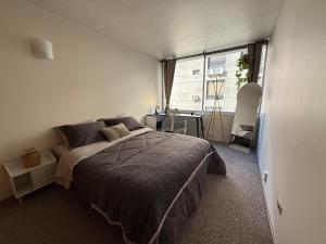 Modern refuge in the Heart of Providencia