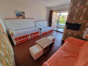 Studio avec terrasse proche plage Collioure - FR-1-309-501