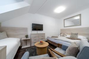 Anenský Apartmán C303 s wellness , O2 TV a stabilní rychlou WIFI, s možností dokoupení bufetových snídaní a s možností dokoupení masáží