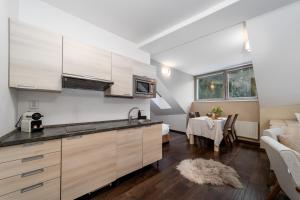 Anenský Apartmán C303 s wellness , O2 TV a stabilní rychlou WIFI, s možností dokoupení bufetových snídaní a s možností dokoupení masáží