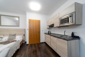 Anenský Apartmán C303 s wellness , O2 TV a stabilní rychlou WIFI, s možností dokoupení bufetových snídaní a s možností dokoupení masáží