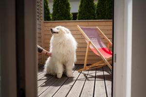 Czerwone Żagle Apartamenty Całoroczne