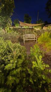 บ้านเป็ดน้อย Little duck cottage