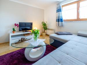 Spacious apartment near the ski area, cleaning included