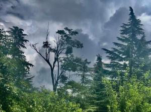 Sahyadri Lodge and Restaurant