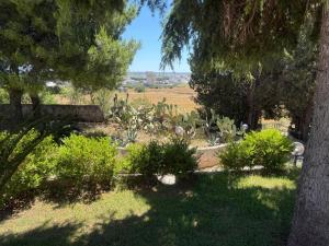 Masseria Patese