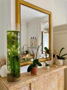 Calm, green & birdsong near the city center