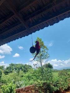 Maati Nature Resort