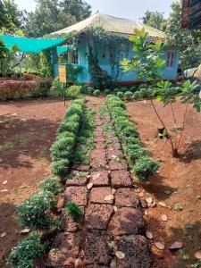 Maati Nature Resort