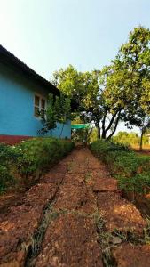 Maati Nature Resort
