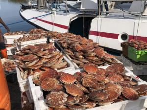 B&B / Chambres d'hotes Cote PECHEUR : photos des chambres