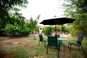 Haveli Anirudh - Royalty Redefined