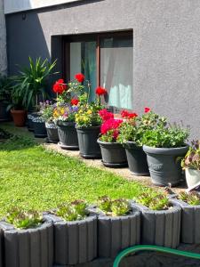 Appartement Ferienwohnung LANG