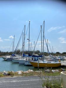 Maisons de vacances Villa contemporaine a 2 pas de la mer avec piscine privee : photos des chambres