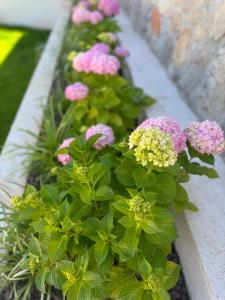 Guest House Lena, Nerezine, Mali Losinj