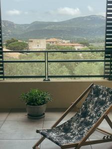 Appartements Appartement spacieux 6 personnes sur le vieux port : photos des chambres