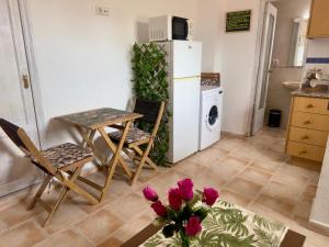 Estudio en el Castillo de Denia