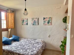 Estudio en el Castillo de Denia
