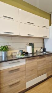 Przemyślany Azyl II